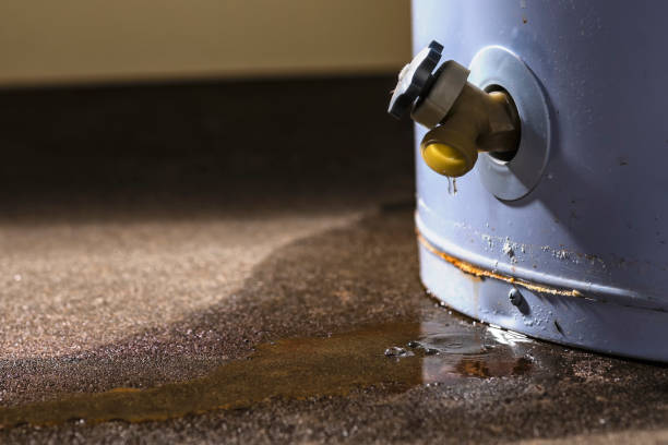 Best Water damage restoration process  in Hondo, TX