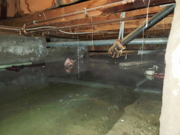 Best Ceiling water damage repair  in Hondo, TX