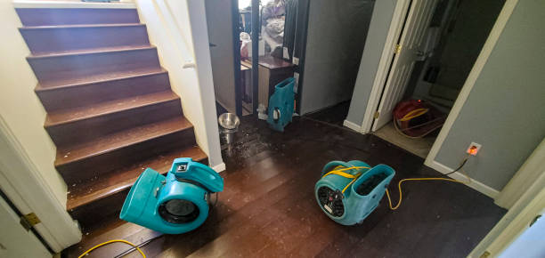  Hondo, TX Water damage restoration Pros