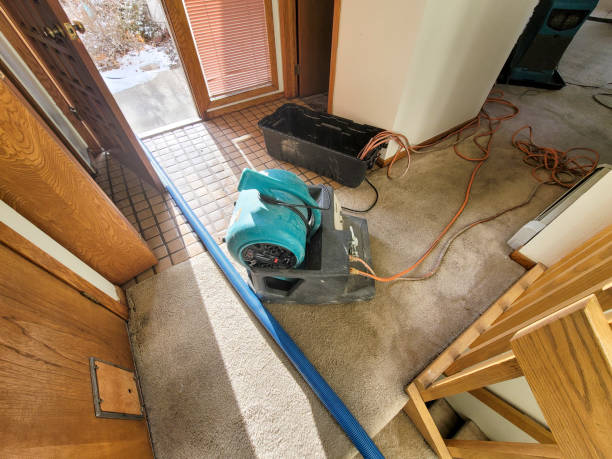 Best Sewage cleanup and water damage restoration  in Hondo, TX