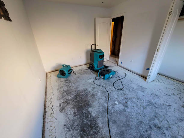 Best Carpet water damage restoration  in Hondo, TX
