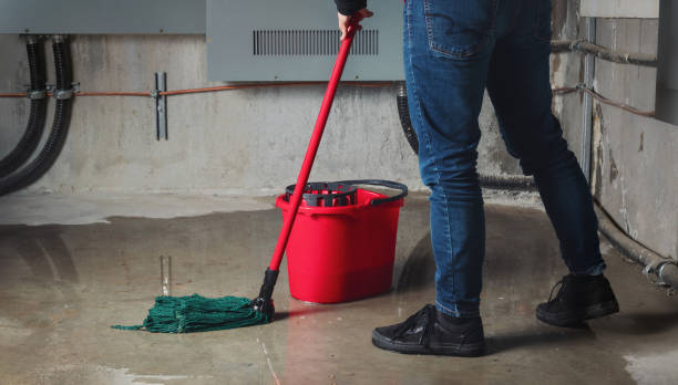 Best Water damage restoration near me  in Hondo, TX